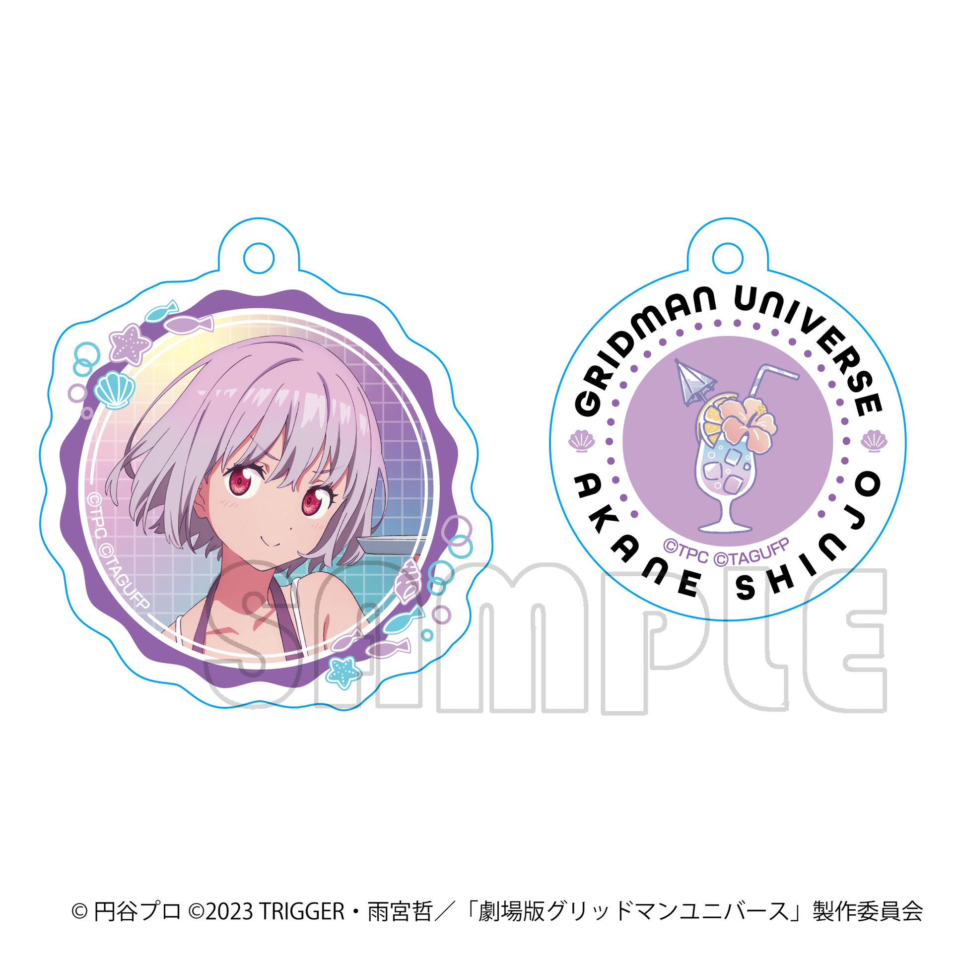 N◆写真2現物写真有　1BOX　未開封　グリッドマンユニバース　キーホルダー　a 新品未開封 アクリルフォト グリッドマン ユニバース｜Yahoo